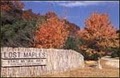 Lost Maples State Natural Area: Reservations Information logo