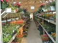 Lowe's Bayshore Nursery and Garden Center, Inc. image 3