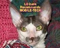 MOBILE-TECH In-Home Professional Pet Care image 4