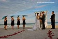 Mafle Jacksonville Wedding Photographers image 5