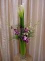 Main Street Florist image 9