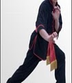 Mandarin Kung Fu, Inc. image 2