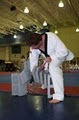 Martial Arts school of Greenville image 1