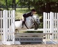 Mary-Go-Round Equestrian Center image 3
