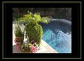 Matthew Ponseti Landscaping - Landscaping Contractor and Maintenance image 8