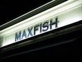 Max Fish image 4