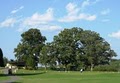 Meadowbrook Golf Course image 5