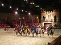 Medieval Times Dinner & Tournament image 6