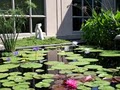 Memphis Botanic Garden image 2