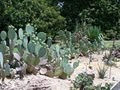 Memphis Botanic Garden image 3