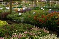 Merrifield Garden Center image 2