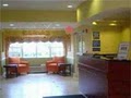 Microtel Inns & Suites Panama City FL image 4