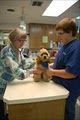 Midland Animal Clinic image 2