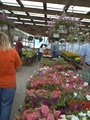 Miller's Greenhouses & Flower Shop image 5