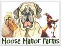 Moose Manor Farms image 10