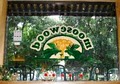 Moosewood Restaurant image 6