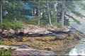 Mount Desert Campground image 8