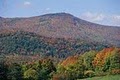 Mount Greylock State Reservation image 1