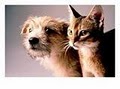 NW Pet Sitters logo