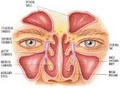NY Sinus and Allergy  Center image 7