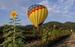 Napa Valley Balloons, Inc. image 7