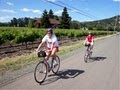 Napa Valley Bike Tours image 4