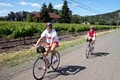 Napa Valley Bike Tours image 5