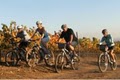 Napa Valley Bike Tours image 6