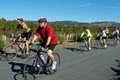 Napa Valley Bike Tours image 7