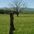 National and State Park Concessions Cades Cove LLC image 6