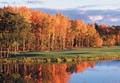 Nonesuch River Golf Course image 2