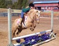 North Garden Equestrian Center image 4