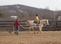 North Garden Equestrian Center logo