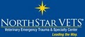 NorthStar VETS logo
