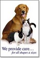 Ocala Pet Sitter (Paws N CLawz image 2