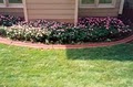 Olympic Lawn & Landscape | Olympic Lawn Service image 9