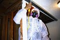 Orange County Mold Removal Mold Fighter image 1