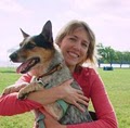 Oshkosh Unleashed Pet Sitting and Dog Walking image 1