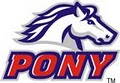 PONY Baseball image 2