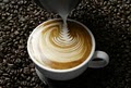 PT's Coffee Roasting Co. image 4