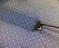 PVA Carpet Cleaning image 3