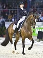 Palm Beach International Equestrian Center (PBIEC) image 4