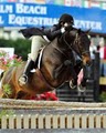 Palm Beach International Equestrian Center (PBIEC) image 7