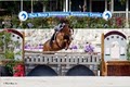 Palm Beach International Equestrian Center (PBIEC) image 9