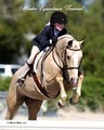 Palm Beach International Equestrian Center (PBIEC) image 10