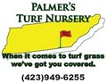 Palmer's Turf Nursery logo