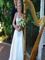 Pamela Pamperin Harpist image 2