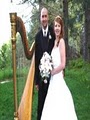 Pamela Pamperin Harpist image 3
