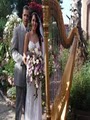 Pamela Pamperin Harpist image 4