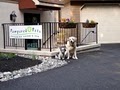 Pampered Pets Salon & Spa image 3